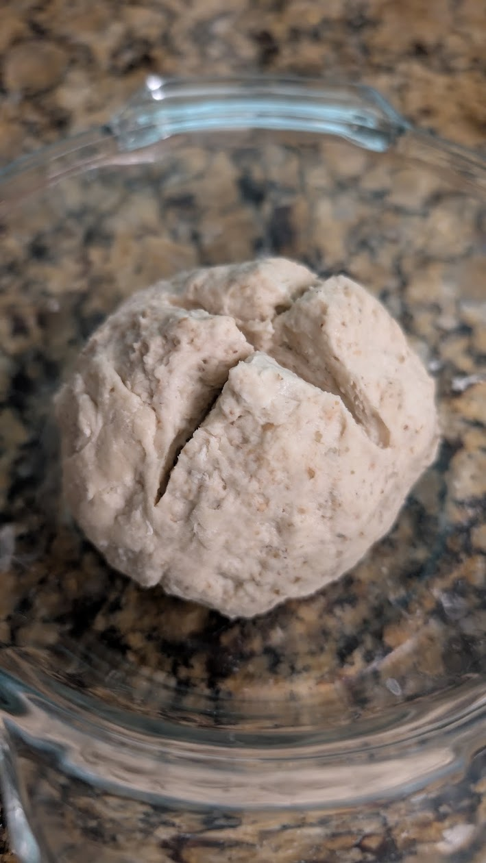 Scored dough after kneading, reset to ferment