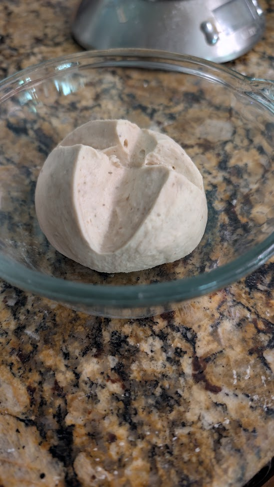 Lievito madre holding shape well after kneading, cross-score visible