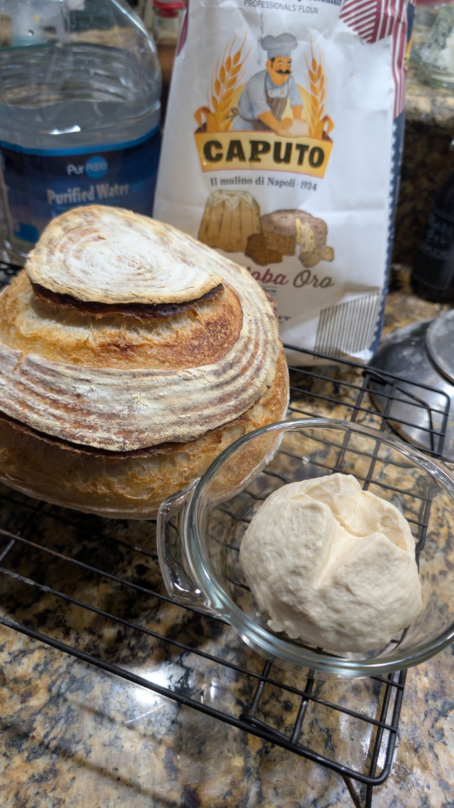 Freshly baked sourdough boule with decorative scoring on a cooling rack