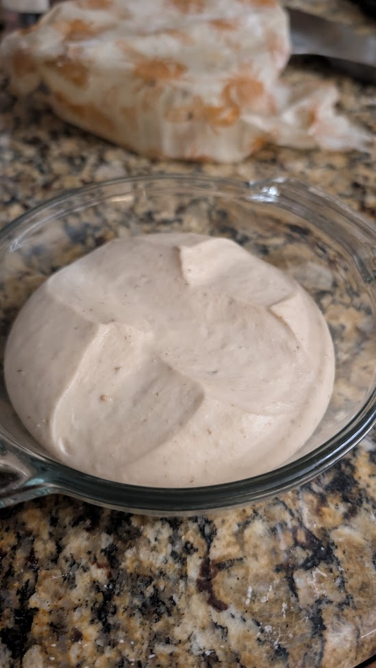 Madre after overnight ferment at 70F, doubled and domed in glass bowl on granite counter