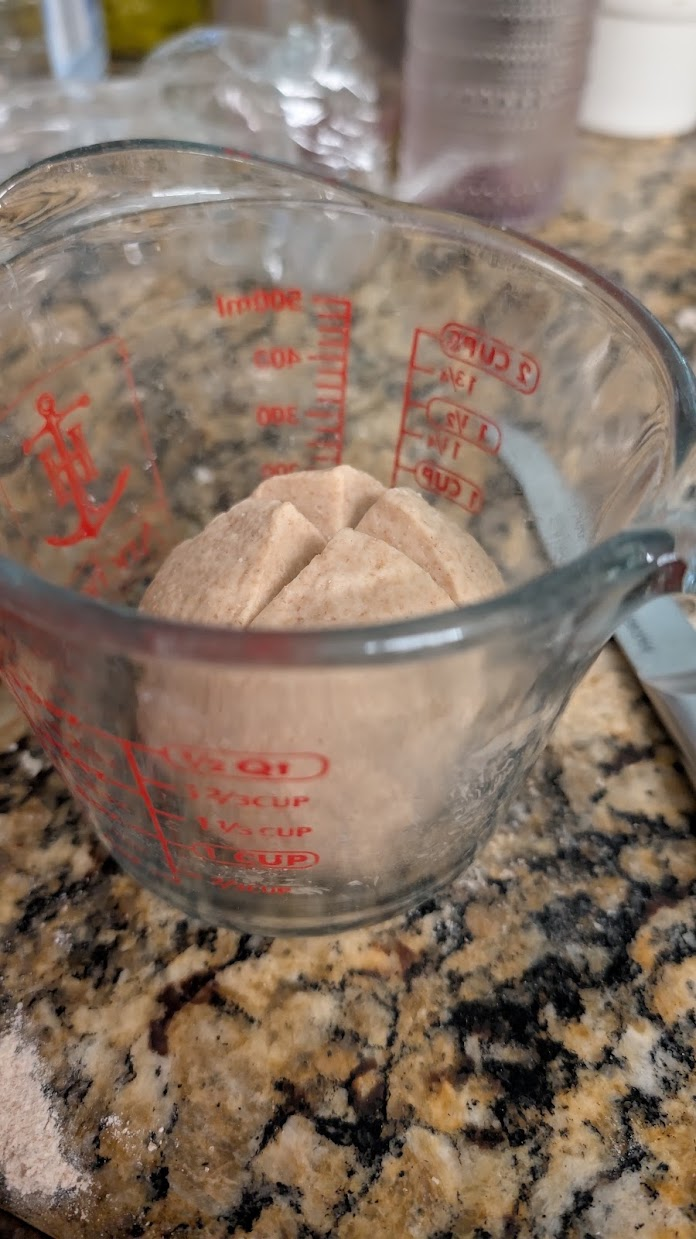 Fresh lievito madre restart after an eight-hour ferment, scored in a glass measuring cup